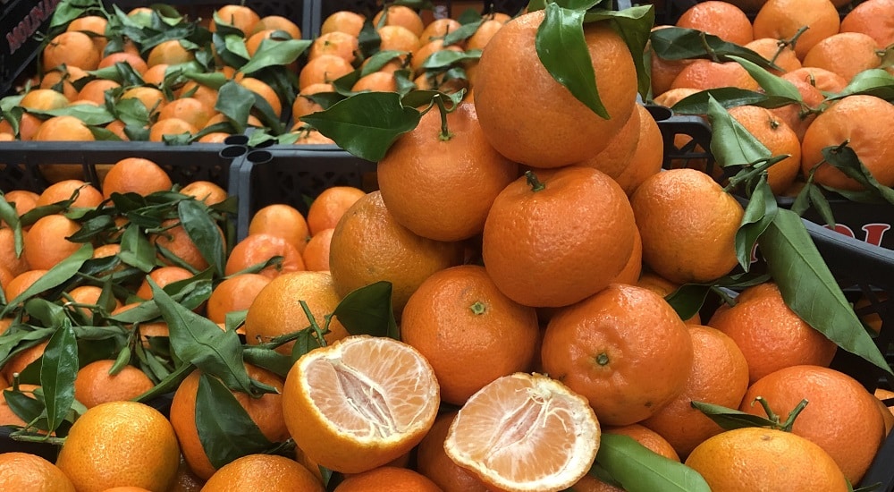 La Clementina di Calabria IGP