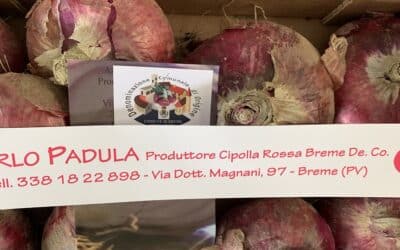 La Cipolla Rossa Di Breme